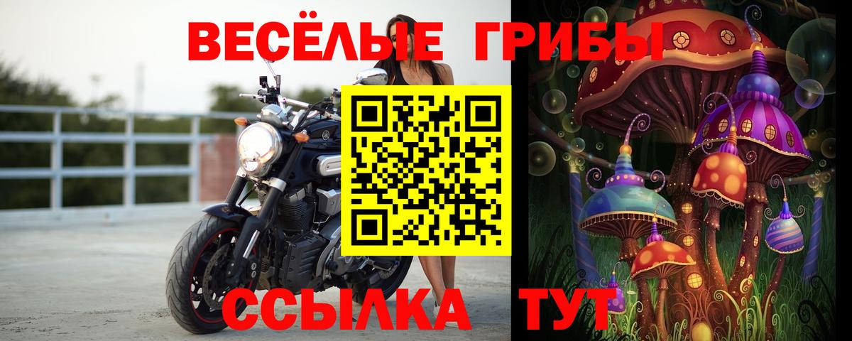 Гусь-Хрустальный  Галлюциногенные грибы мицелий  Галлюциногенные грибы Magic Shrooms  Вход с VPN 